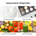 6L Car Mini Fridge Beauty Cosmetics Mask Makeup Skincare Refrigerator Semiconductor USB Heated Cooling Dormitory Refrigerator